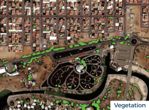 vegetations vegetations
